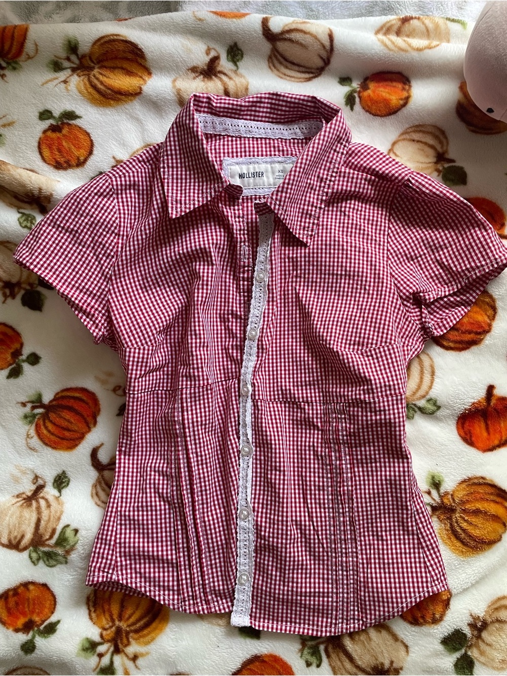 Hollister Red Gingham Short Sleeve Button-Down Shirt